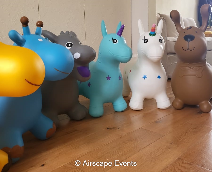 Didi Cars & Hoppers Best Inflatable Hire service in Surrey, Woking